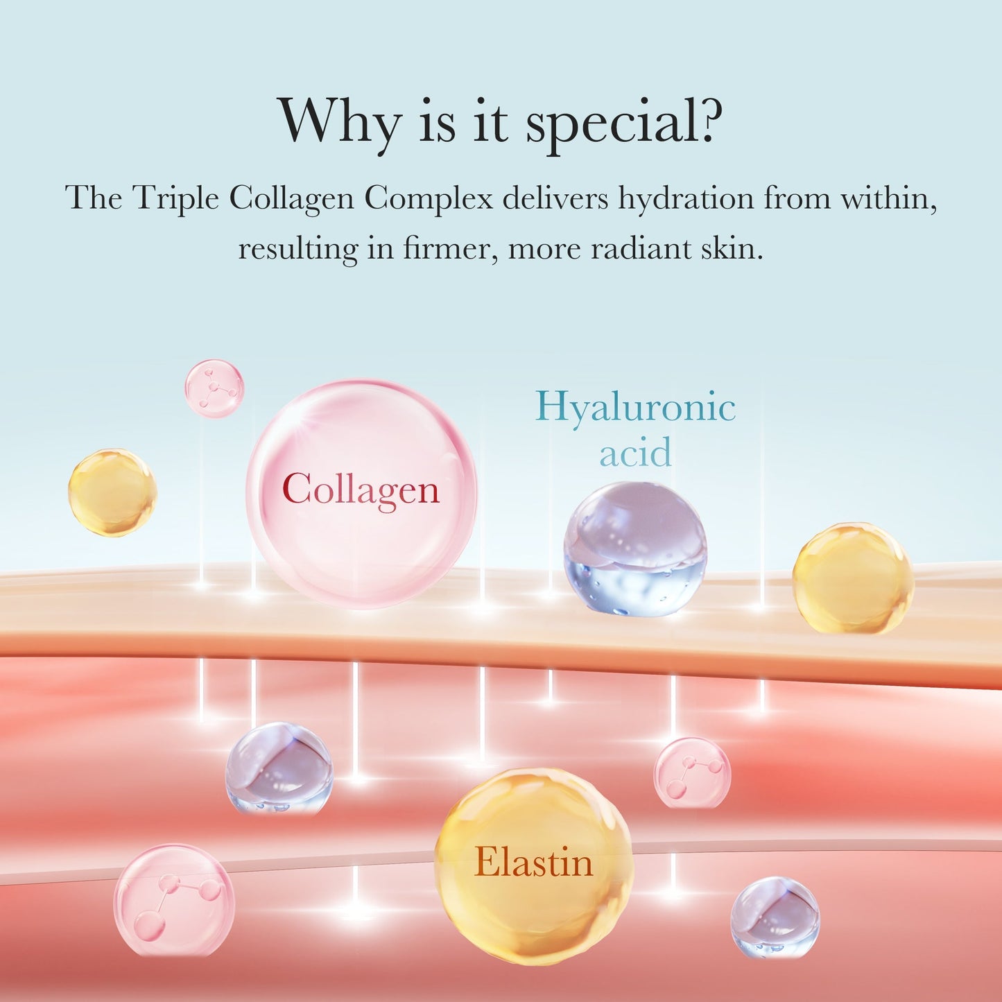 Triple Collagen Ampoule